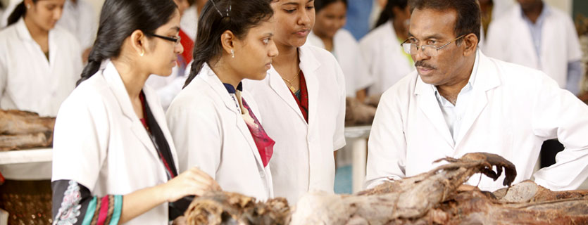 Cadaver in medical college