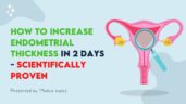 6 Scientifically Proven Tips on How to Increase Endometrial Thickness ...