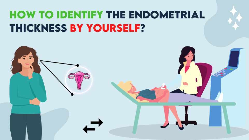 How to identify the Endometrial Thickness by yourself?