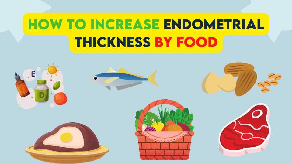 How to increase Endometrial Thickness by food