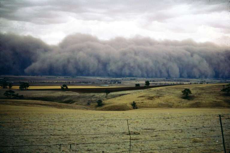 Dust storms How bad are they? What to do during a dust storm