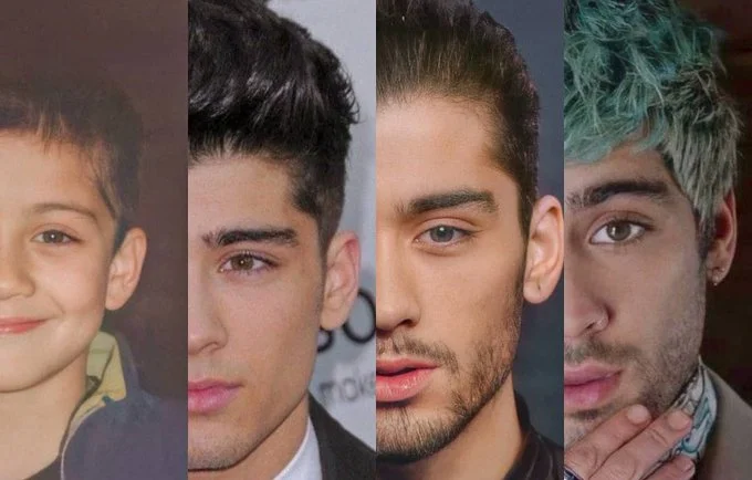 Zayn Malik From starting solo to a Multimillionaire with a net worth of $75 million