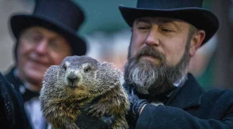 how accurate are groundhog day predictions