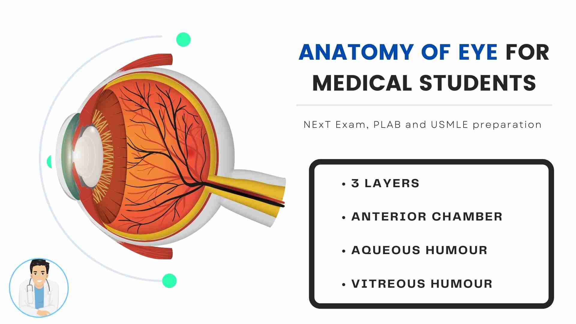 Antomy od eye for Medical Sudents