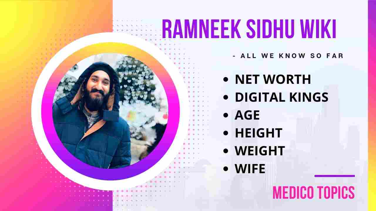 Who is Ramneek Sidhu? How did he create Digital Kings? - A Complete Bio