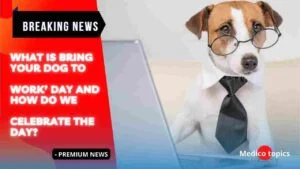 what is Bring your Dog to Work day