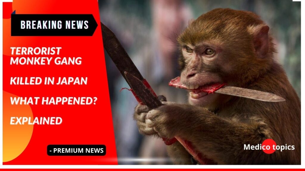 Terrorist Monkey gang killed in Japan: What happened? Explained