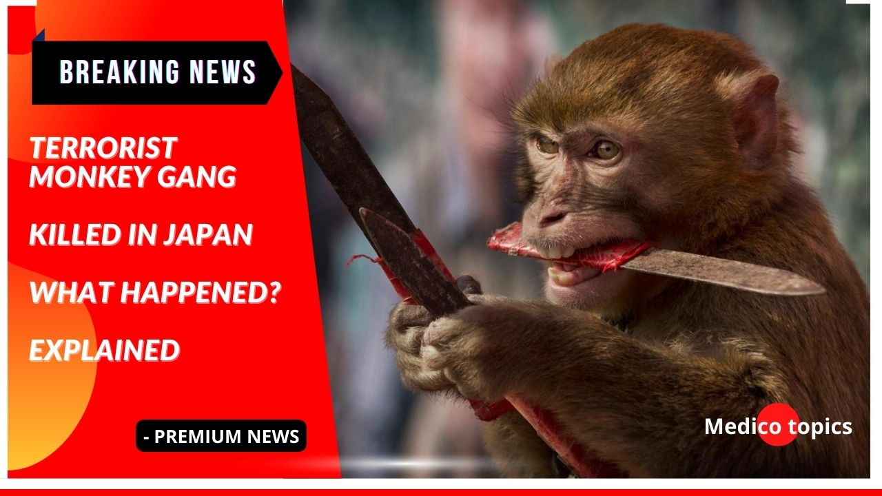 Terrorist Monkey gang killed in Japan: What happened? Explained