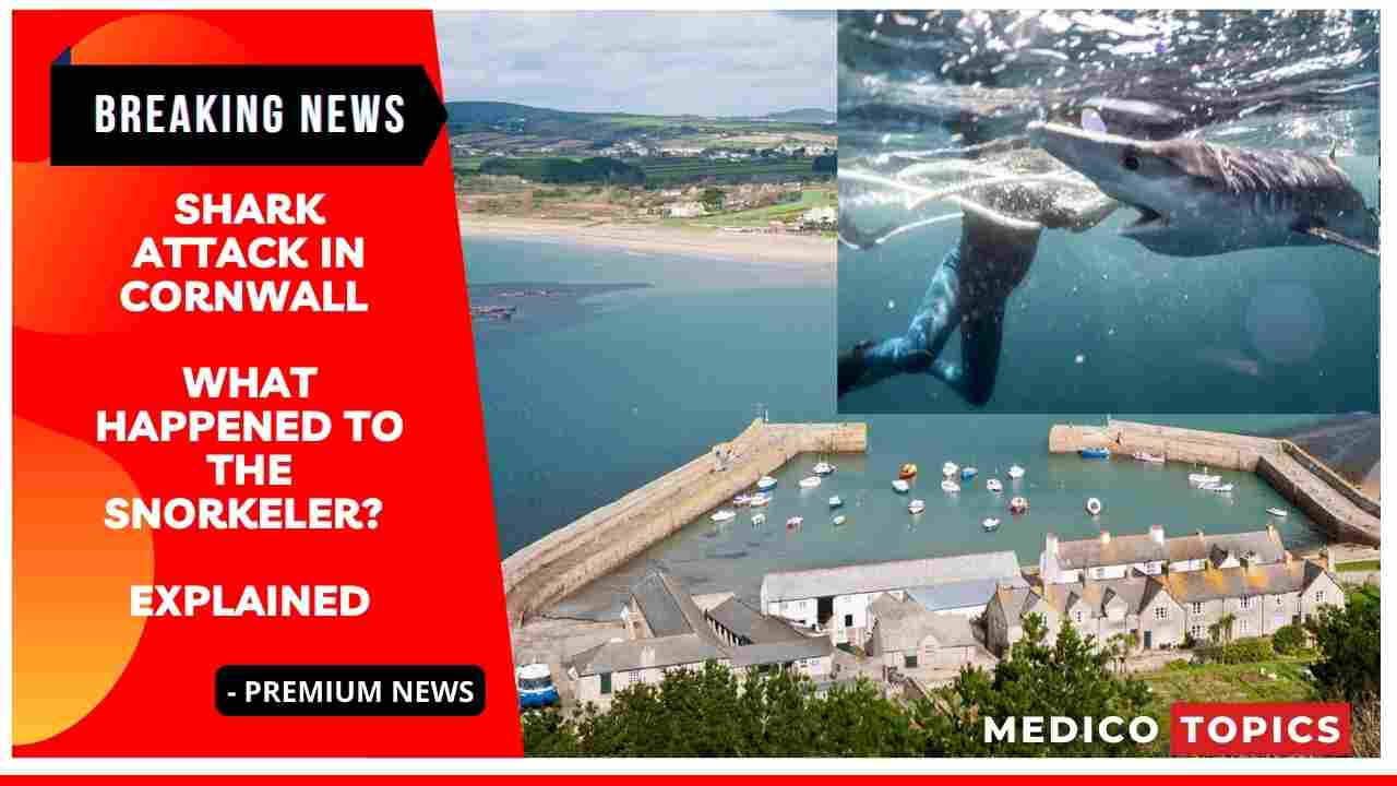 Shark attack in Cornwall: What happened to the snorkeler? Explained