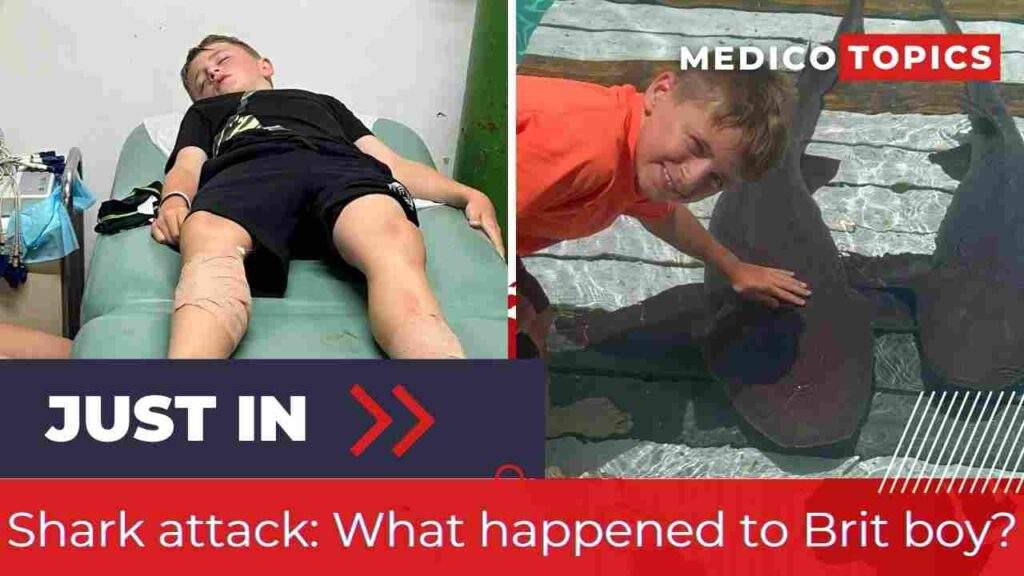 Bahamas shark attack: What happened to Finley Downer? Explained