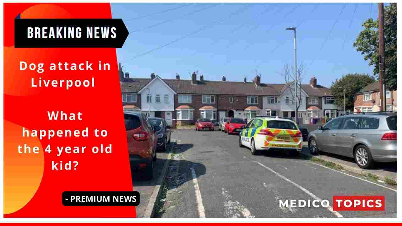 Dog attack in Liverpool: What happened to the 4 year old kid?