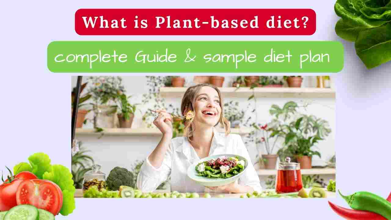 What is Plant-based diet? How much effective is it? Explained