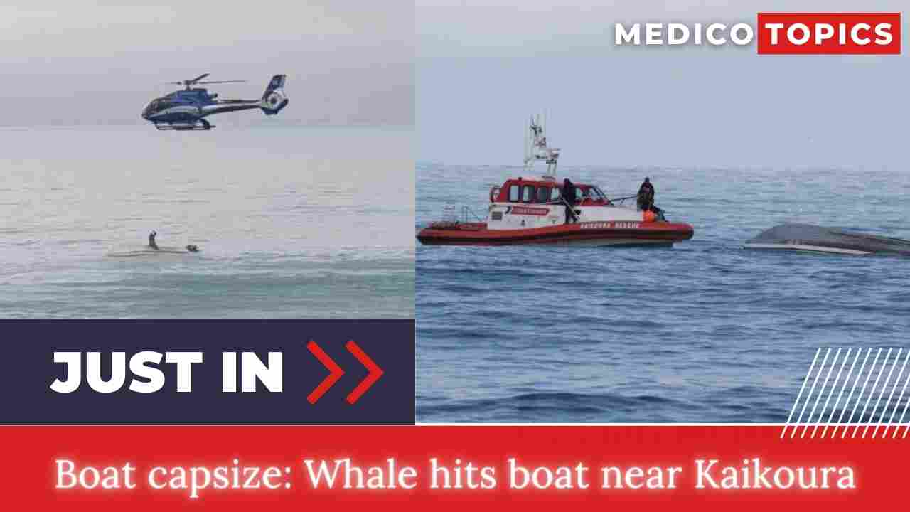 Whale hits boat near Kaikoura: What happened? Boat capsize Explained