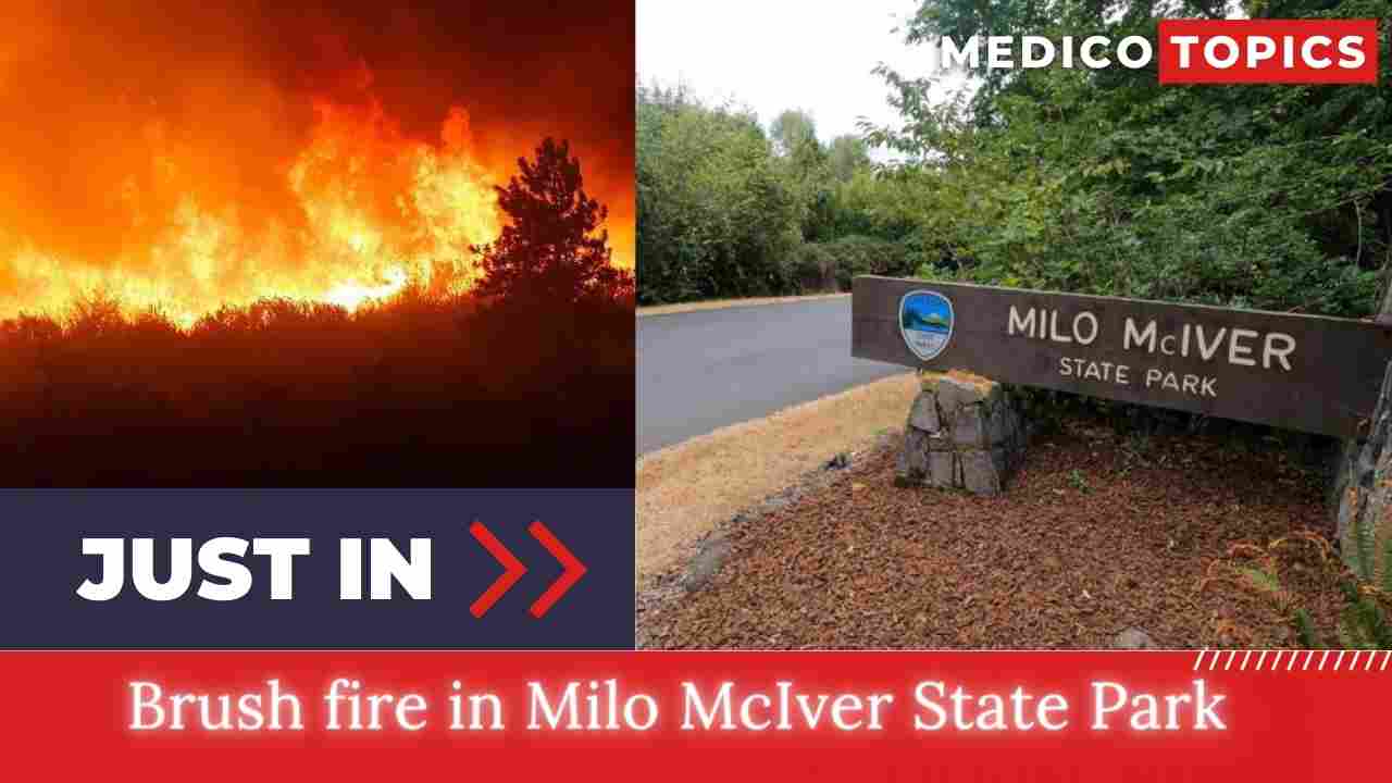 Brush fire in Milo McIver State Park: What happened? What to know? Explained
