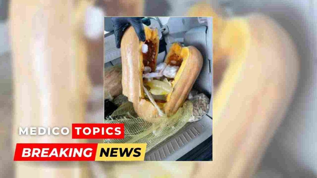 Methamphetamine in condoms hidden in pumpkins: Everything You Need to know