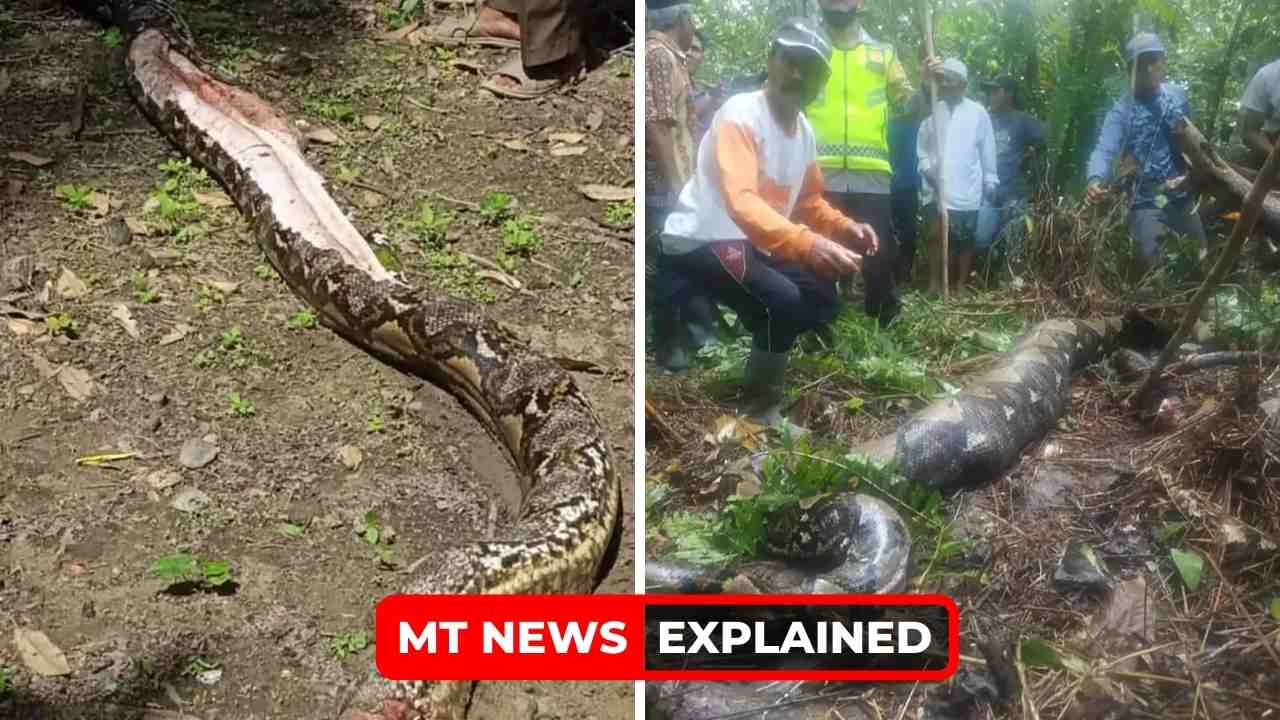 Jahrah Eaten alive: How was the Indonesian woman eaten by python? Explained