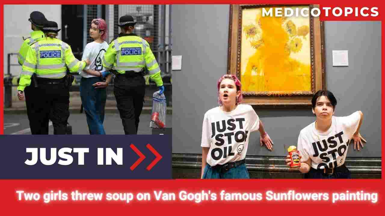 Who are the protesters throw soup in Vincent Van Gogh painting? Here's why? Explained