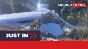 Viktoria Theresie Ljungman died: How did the plane crash happen? Explained