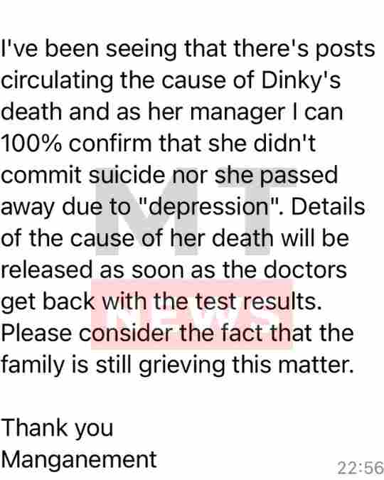 Dinkybliss BBMzansi Cause of Death