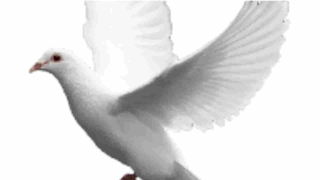 How did Nirmanli Liyanage die? Young activists Cause of death explained