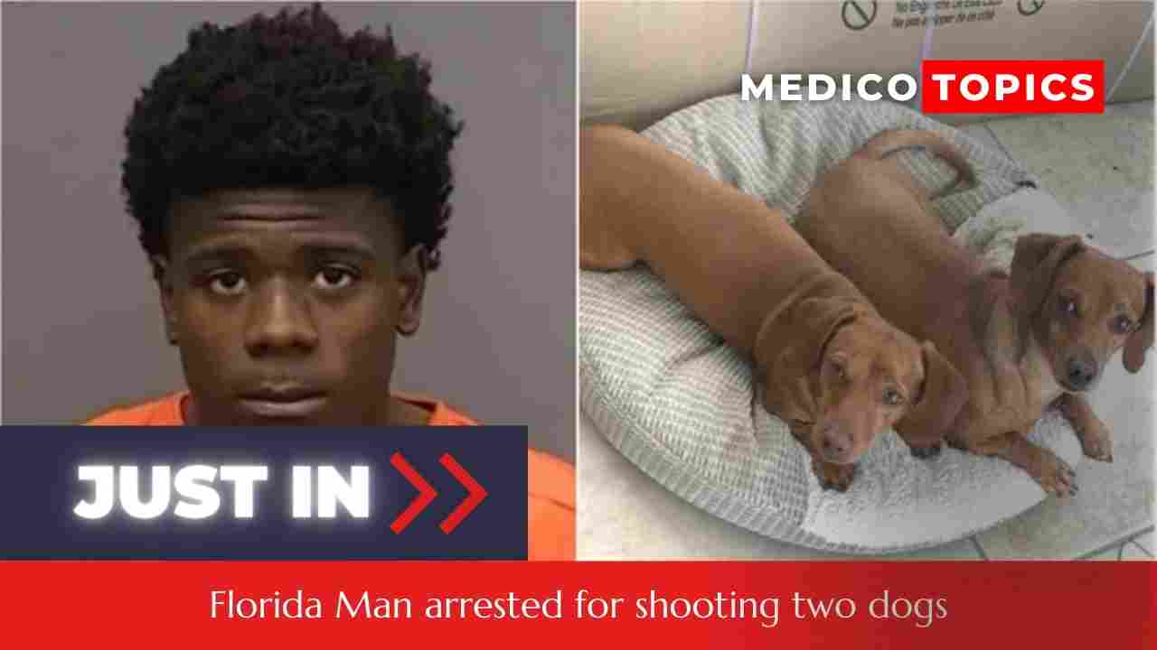 Who is Jayden Harris? Florida Man arrested for shooting two dogs