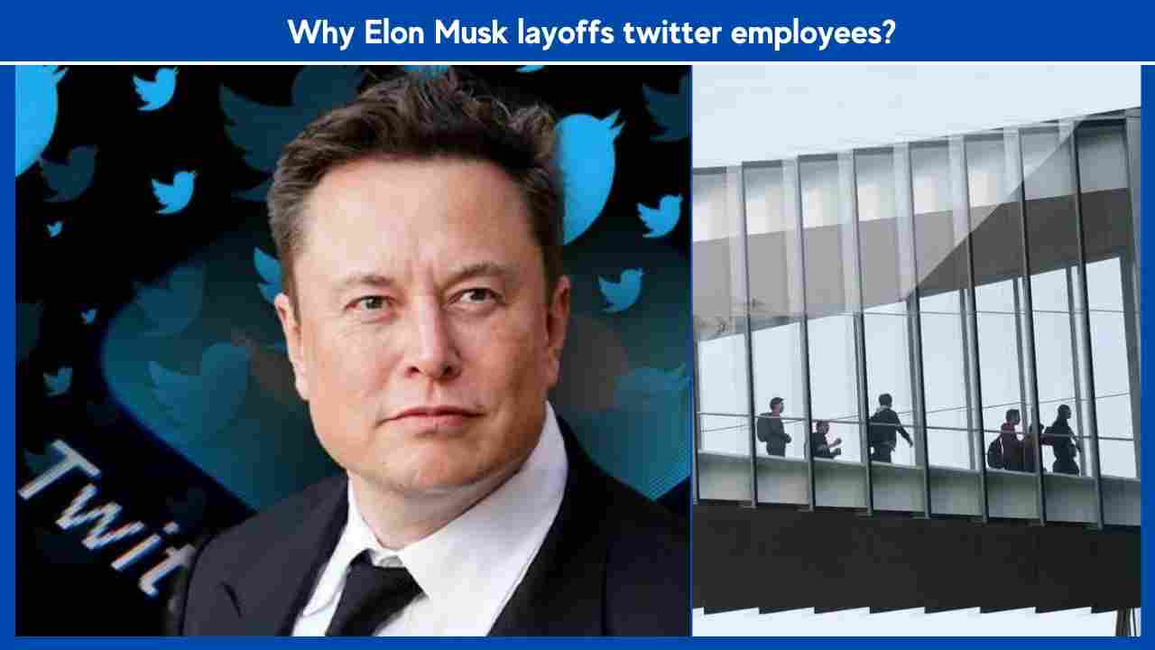 Why Elon Musk layoffs twitter employees? Explained