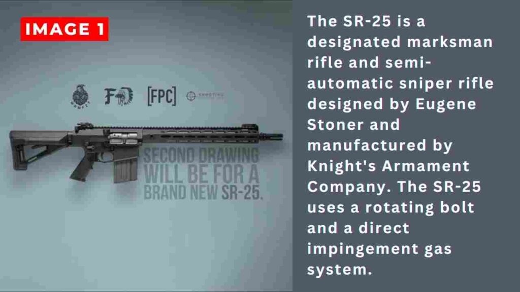 Picture of a SR-25