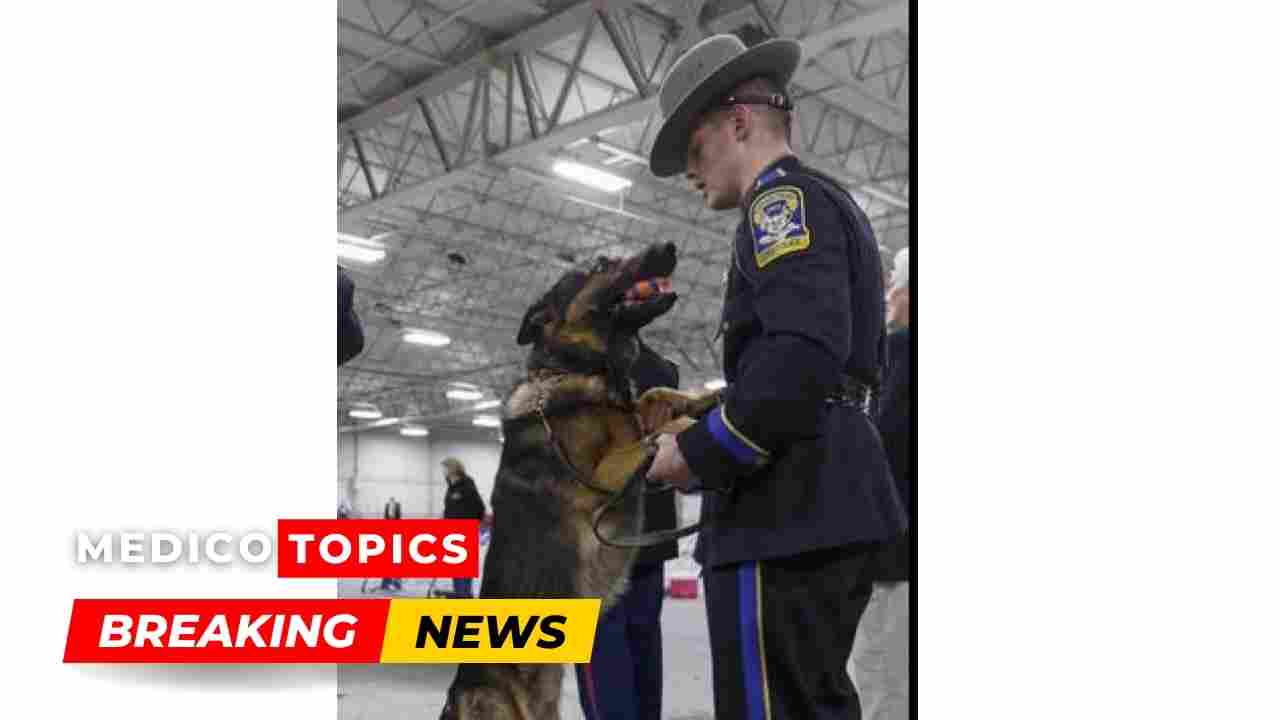 On October 20, 2022, K9 Hero sadly passed away.