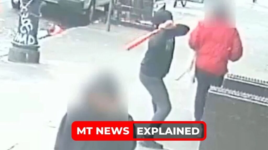 Who is Karim Azizi? Suspect Accused of bashing a man from behind in brutal .NYC baseball bat attack released