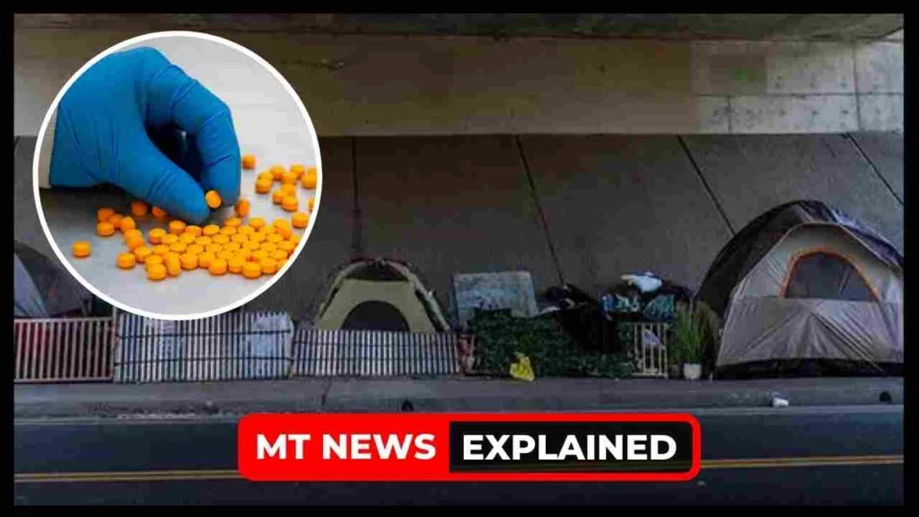 What are Methamphetamine and Fentanyl drugs? How it makes American homeless, Explained
