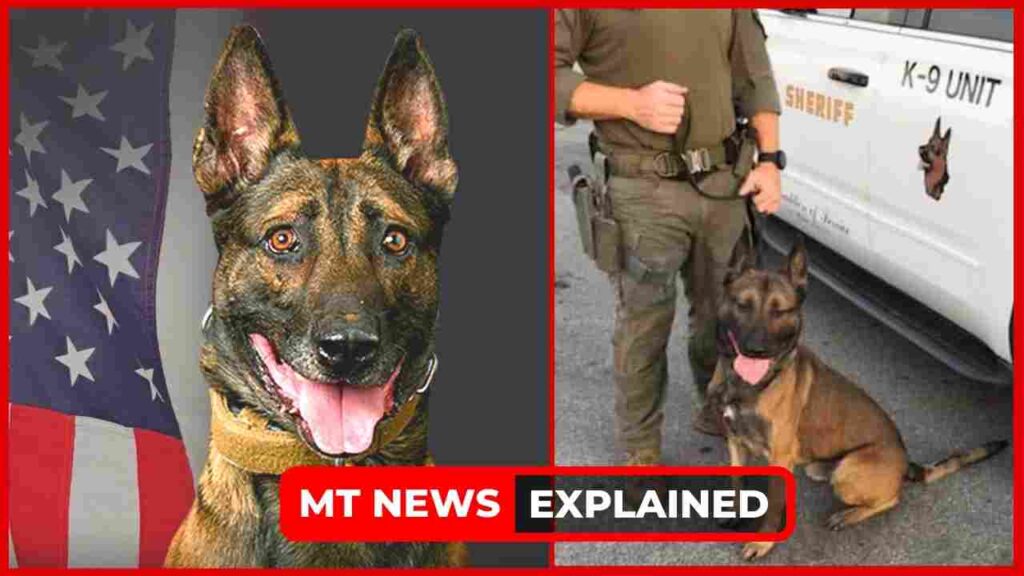 How did LASD K9 Jack die? Killed by suspect during barricade in Gardena Explained