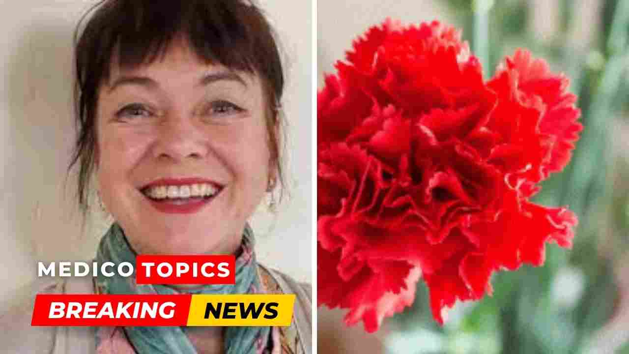 Ruth Hessey death: Award winning filmmaker from Sydney dies after being struck by vehicle