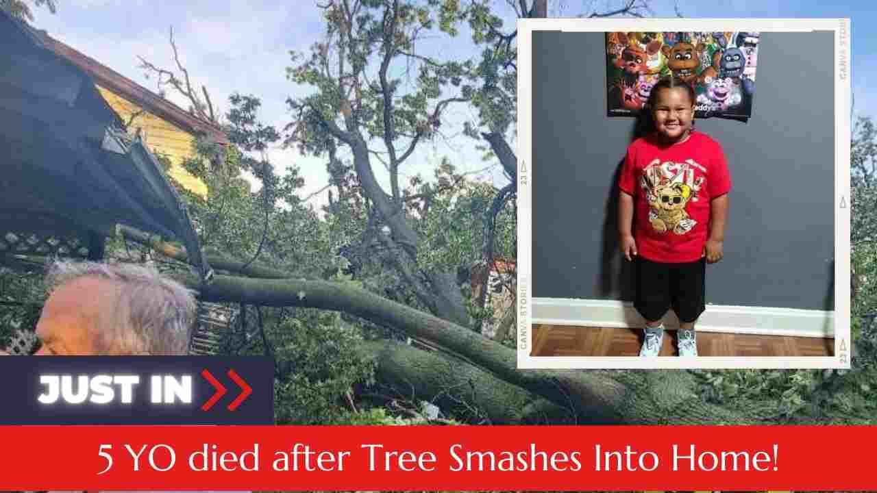 Robert Lawrence, 5, was killed inside his bedroom on Saturday afternoon when severe weather collapsed a large tree and destroyed a home in Jennings.