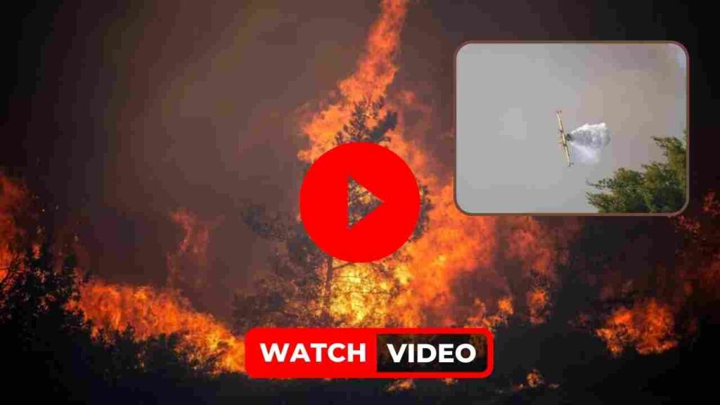 Watch Video | Firefighting Plane Crashes After Wing Hits On Tree In ...